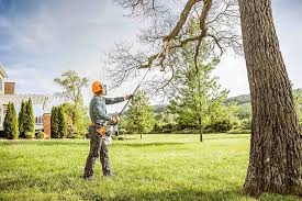 How Our Tree Care Process Works  in  Bunkie, LA